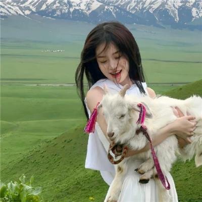 相爱的停损点 在线观看
