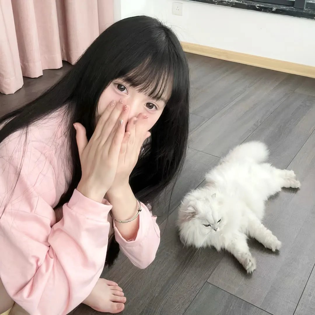 美人依旧 在线观看